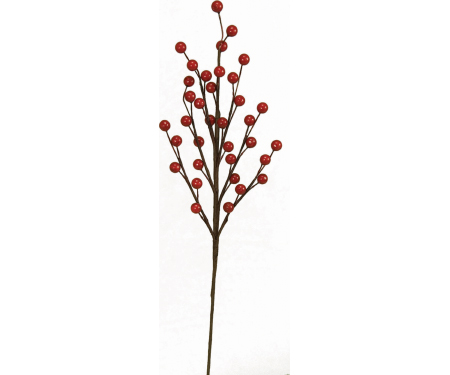 N46 PPX5028RED
